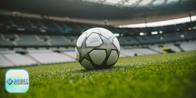 Hướng dẫn tham gia nhanh trong 3 bước